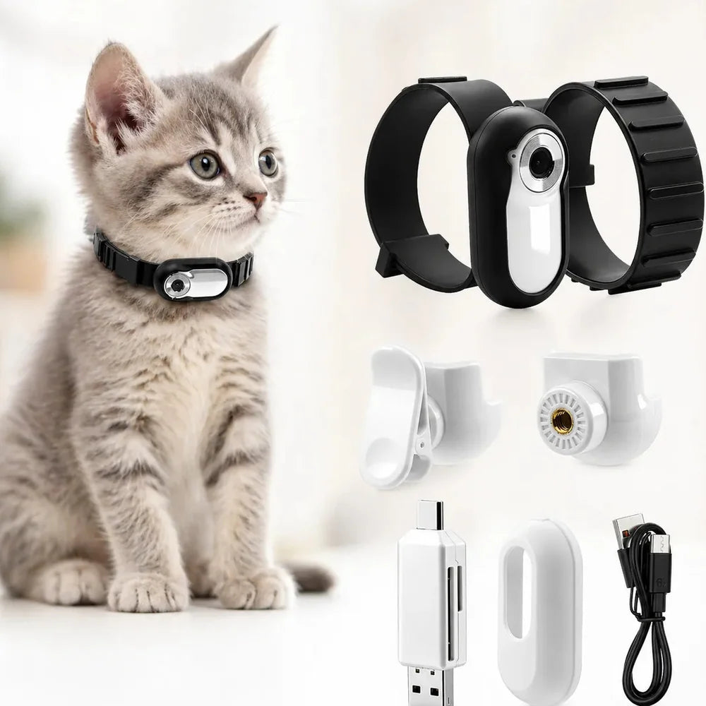 Collier pour chat Jolinova™