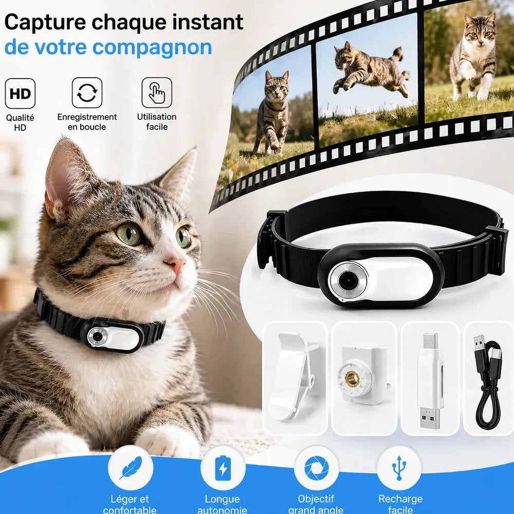 Collier pour chat Jolinova™