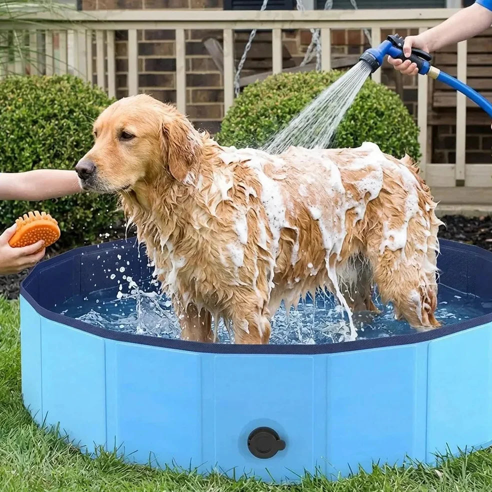 Piscine pour Chien Jolinova™