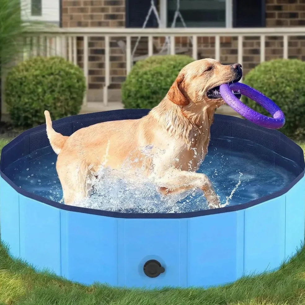 Piscine pour Chien Jolinova™