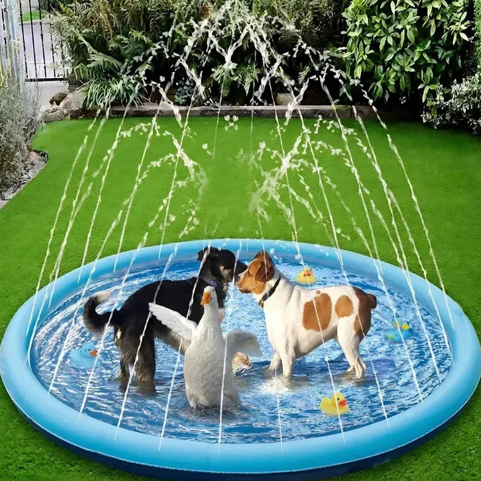 Piscine pour Chien Jolinova™